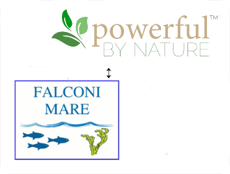 Falconi Mare collaborate also with Powerful By Nature, Workshops og Retreat